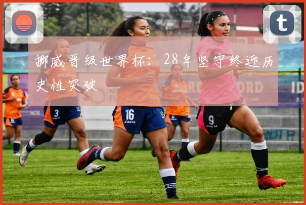 挪威晋级世界杯:28年坚守终迎历史性突破